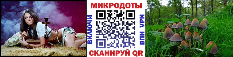 Галлюциногенные грибы Magic Shrooms  Старый Крым 
